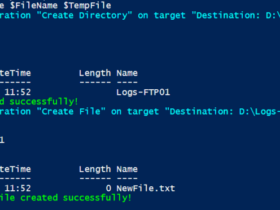 How to Pass Multiple Parameters to Function in PowerShell