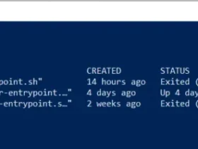 Stop a Running Docker Container