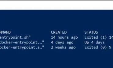 Stop a Running Docker Container