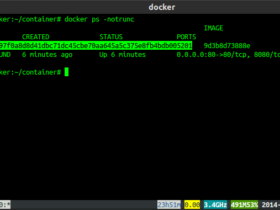 Get Container ID in Docker