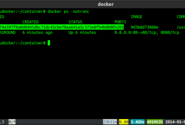 Get Container ID in Docker