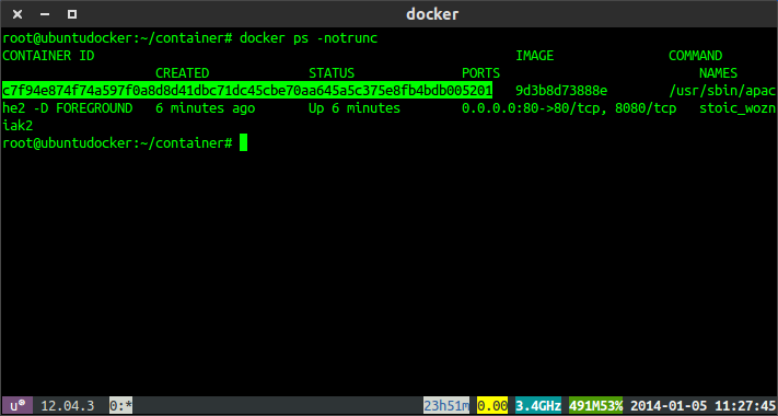 Get Container ID in Docker