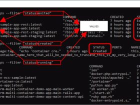 List Docker Containers in Different States