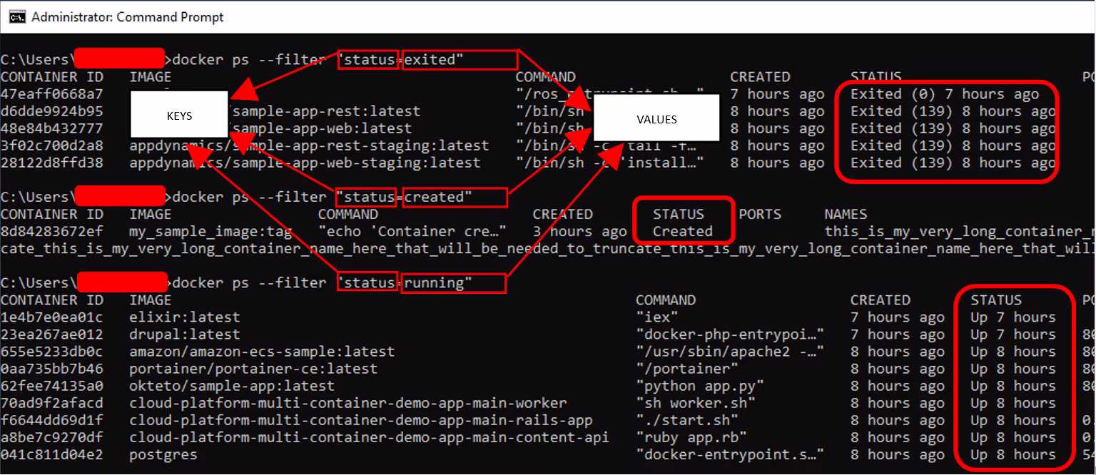 List Docker Containers in Different States